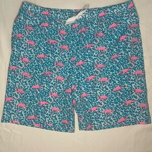 Blue and Pink Flamingo Patterned Boys Swim Shorts